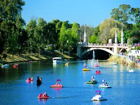 Captain Jolleys Paddle Boats - Holiday Adelaide 0