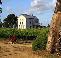 Highbank Vineyards - Holiday Adelaide