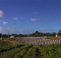 Deep Creek Wines and Alpacas - Holiday Adelaide