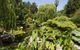 Adelaide Himeji Garden - thumb 0