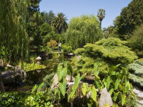 Adelaide Himeji Garden - Holiday Adelaide 0