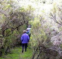 Jack And Hilda McArthur Walk - Holiday Adelaide