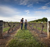 Coonawarra Wineries Walking Trail - Holiday Adelaide