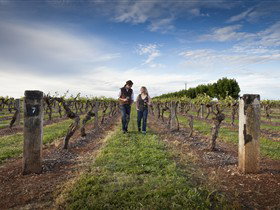 Coonawarra Wineries Walking Trail - Holiday Adelaide 0