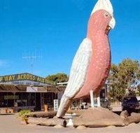 The Big Galah - Holiday Adelaide
