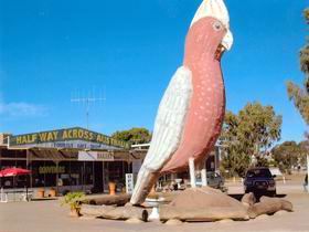 The Big Galah - Holiday Adelaide 0