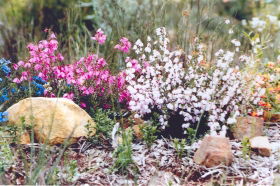 Stokes Bay Bush Garden - Holiday Adelaide 0