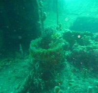 Wallaroo Scuba Club - Holiday Adelaide