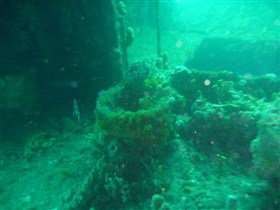 Wallaroo Scuba Club - Holiday Adelaide 0