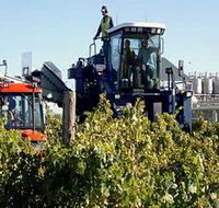 Ballast Stone Estate Wines Pty Ltd - Holiday Adelaide