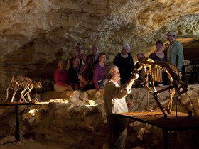 Naracoorte Caves National Park - Holiday Adelaide 0