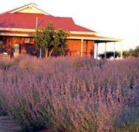 Bella Lavender Estate - Holiday Adelaide