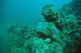Adelaide's Underwater Heritage Trail - Holiday Adelaide 0