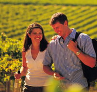 Lady Bay Vineyard - Holiday Adelaide