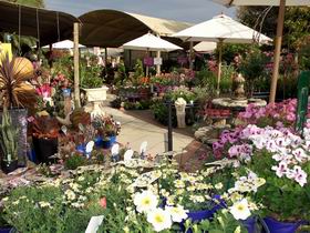 Serenity Nursery - Holiday Adelaide 0