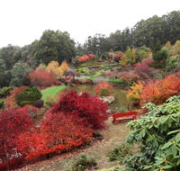 Emu Valley Rhododendron Garden - Holiday Adelaide