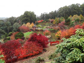 Emu Valley Rhododendron Garden - Holiday Adelaide 0