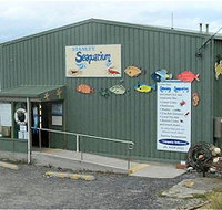 Stanley Seaquarium - Holiday Adelaide