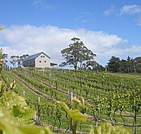 Bruny Island Premium Wines Bar and Grill - Holiday Adelaide