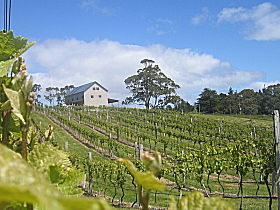 Bruny Island Premium Wines Bar And Grill - Holiday Adelaide 0