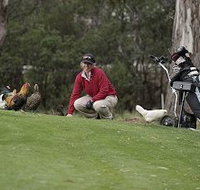 Tasmania Golf Club - The - Holiday Adelaide