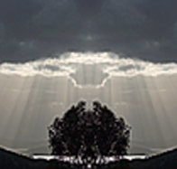 aart. Gallery of Fine Art - Holiday Adelaide