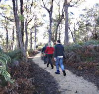 Bridport Walking Track - Holiday Adelaide