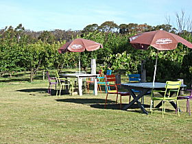 Cerise Brook Orchard & Family Golf - Holiday Adelaide 0
