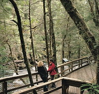 Franklin River Nature Trail