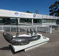 Australia's Antarctic Headquarters - Holiday Adelaide