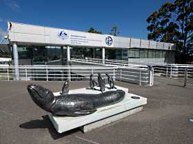 Australia's Antarctic Headquarters - Holiday Adelaide 0
