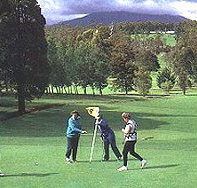 Deloraine Golf Course - Holiday Adelaide