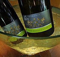 Velo Wines - Holiday Adelaide