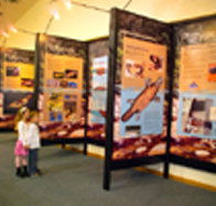 Platypus Experience - Holiday Adelaide