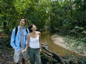 Mooloolah River National Park, Jowarra Section - Holiday Adelaide 0