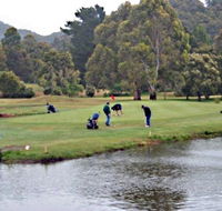 Penguin Golf Course - Holiday Adelaide