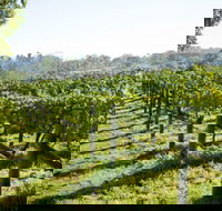 Surveyor's Hill Vineyards - Holiday Adelaide