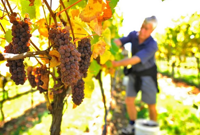 Mt Direction TAS Holiday Adelaide