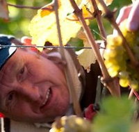 Puddleduck Vineyard - Holiday Adelaide