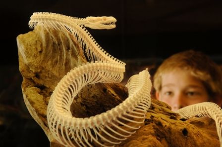 Araluen Cultural Precinct - Holiday Adelaide 4