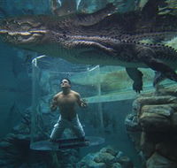 Crocosaurus Cove - Holiday Adelaide