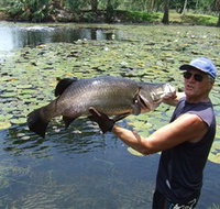 Barra Feeding - Holiday Adelaide