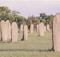 Magnetic Termite Mounds - Holiday Adelaide