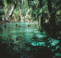 Mataranka Thermal Pool - Holiday Adelaide
