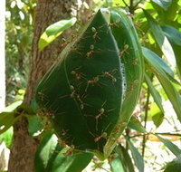 Greenant Creek Walk - Holiday Adelaide