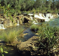 Flora River Nature Park - Holiday Adelaide