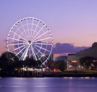 The Wheel of Brisbane - Holiday Adelaide