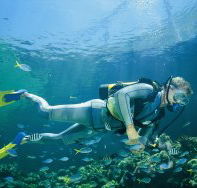 Kirra Reef Dive Site - Holiday Adelaide