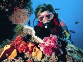Cook Island Dive Site - Holiday Adelaide 0
