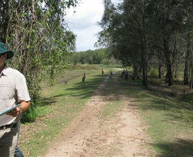 Coombabah QLD Holiday Adelaide